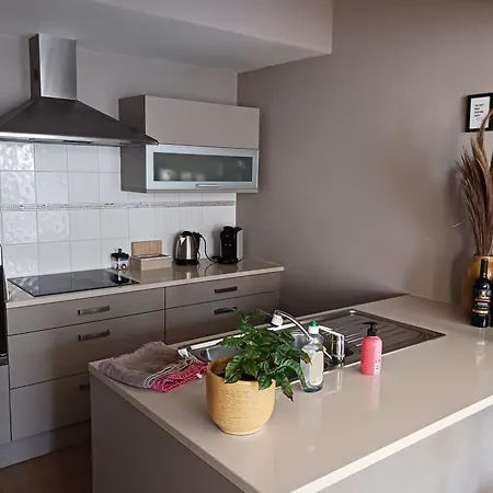 Apartment L'ane Center & Parking *